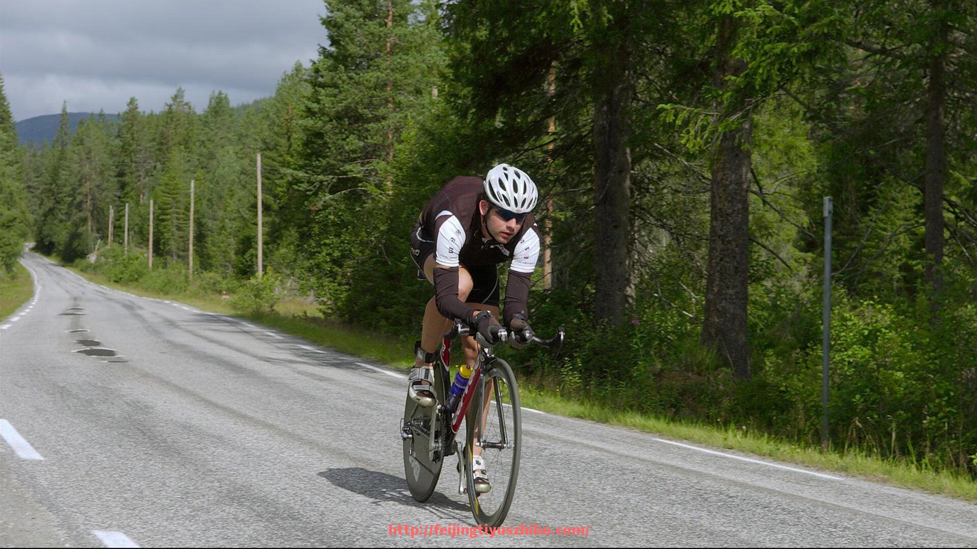 飞鲸体育直播-世俱杯球迷助威口号响彻赛场，见证球迷与球队的情感链接