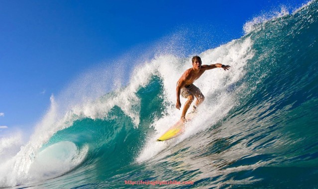 飞鲸体育直播-法甲外援引进效益评估：性价比与场上贡献对比