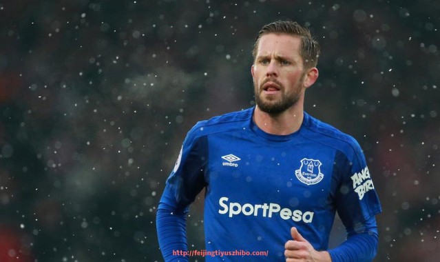 飞鲸体育直播-法甲各球队年度转会预算汇总与投资方向分析