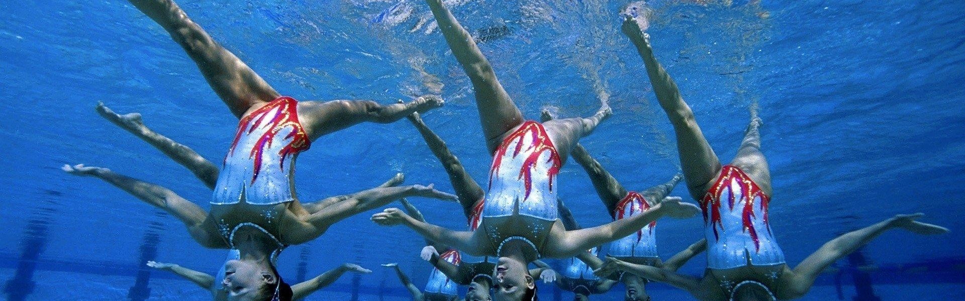 飞鲸体育直播-德甲联赛奖牌的正式名称及授予标准